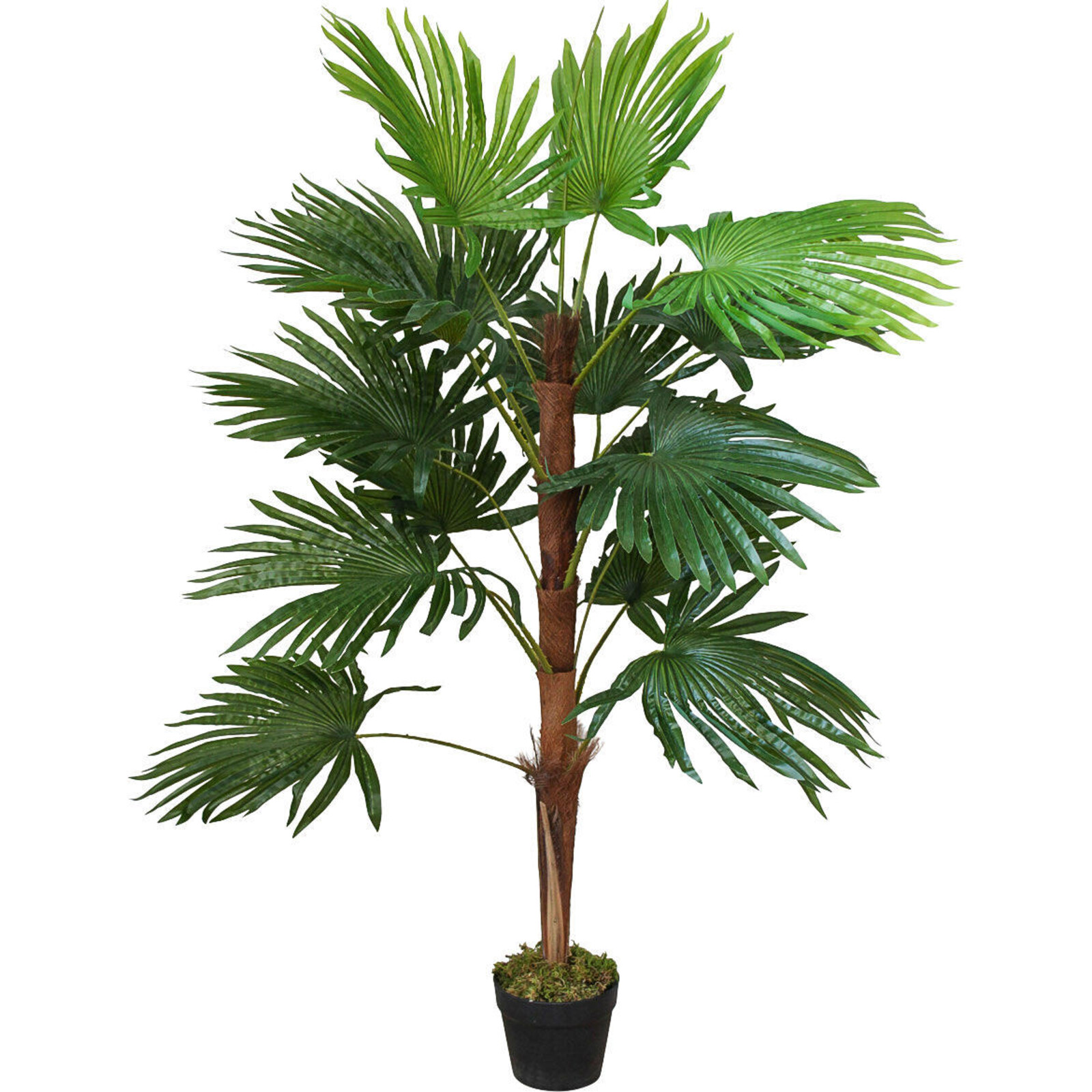 Faux Plant Fan Palm